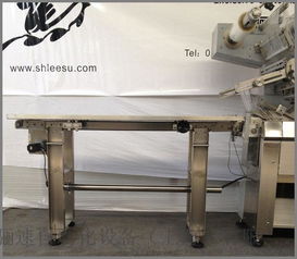 驪速自動(dòng)化設(shè)備 多功能伺服枕式包裝機(jī)，為寵物食品及日常用品打造高效包裝解決方案